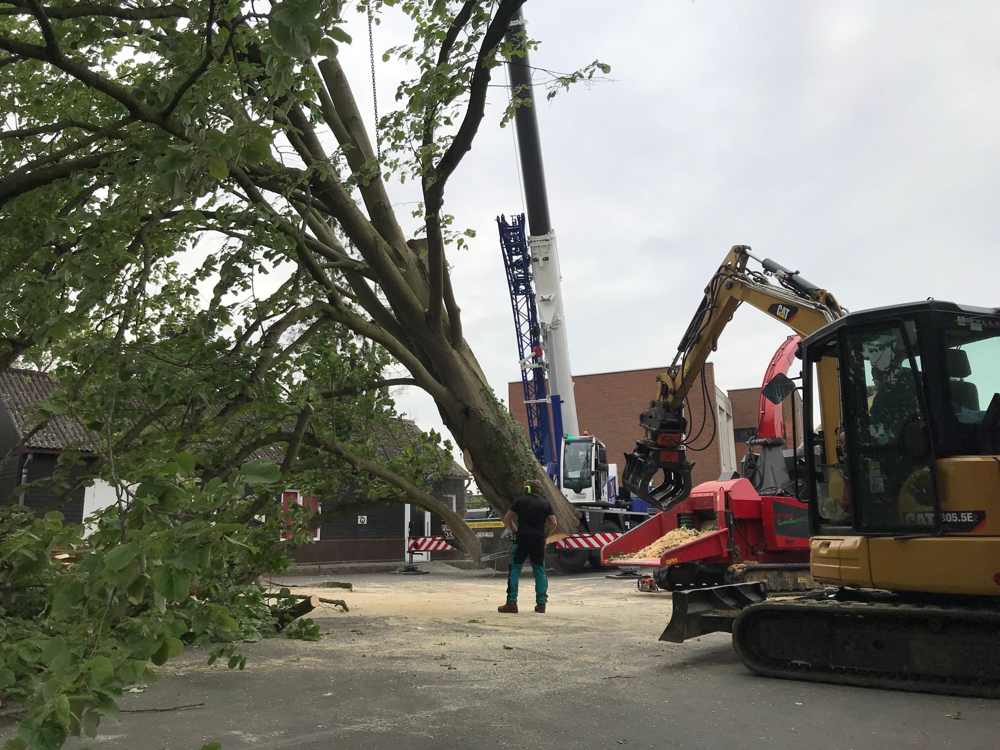 Abattage assisté par grue et excavatrice dans une école en Brabant wallon – Plumridge