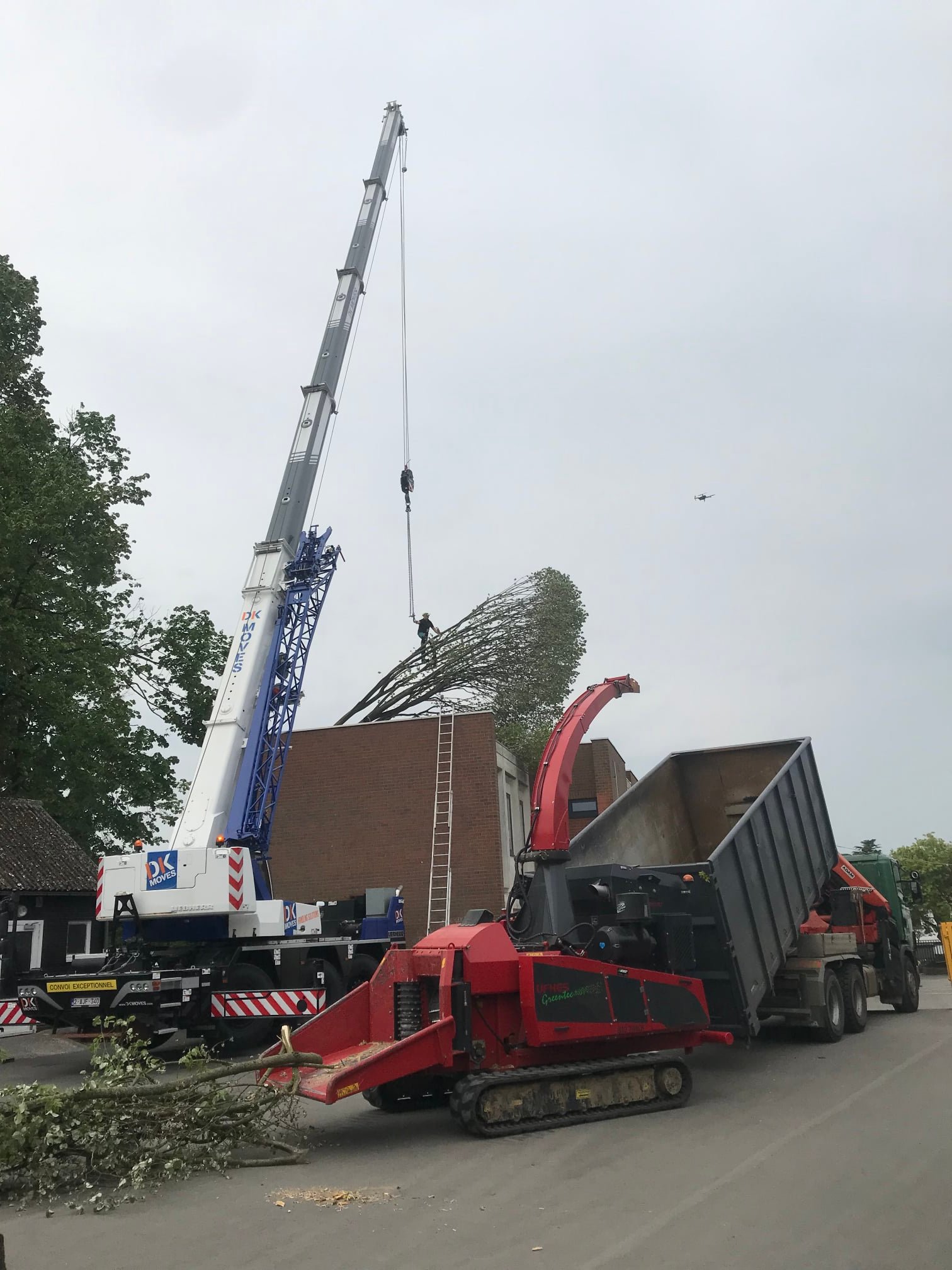 Grue et broyeur sur chenilles lors d'un abattage en milieu scolaire – Plumridge